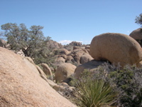 DSCN0011.JPG
