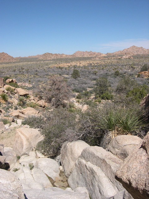 DSCN0002.JPG