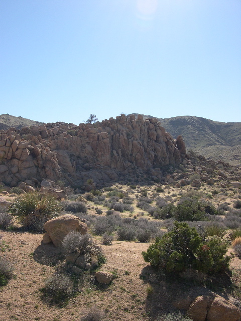 DSCN0016.JPG