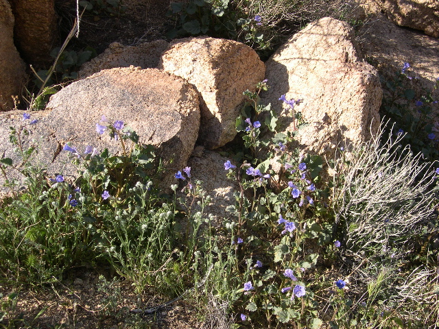 DSCN0023.JPG
