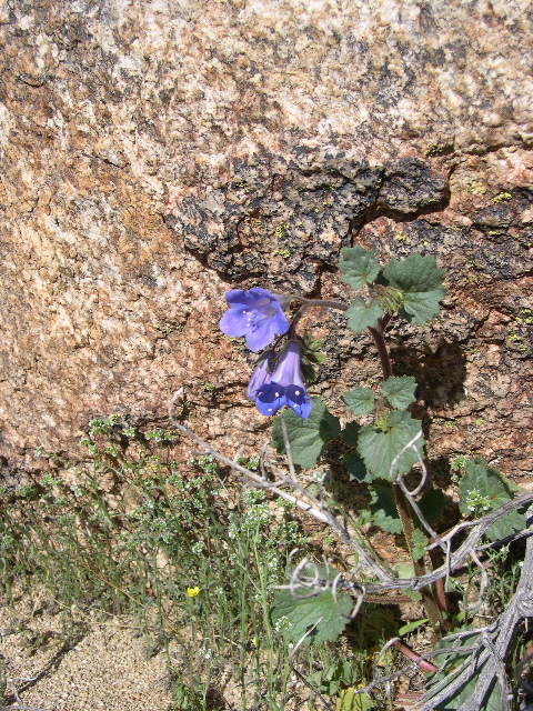 DSCN0027.JPG