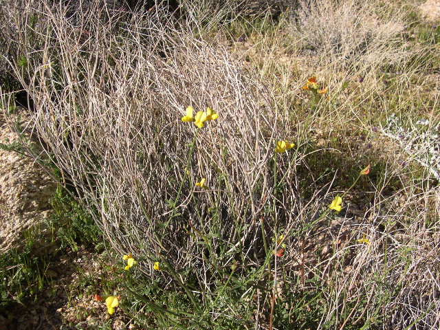 DSCN0030.JPG