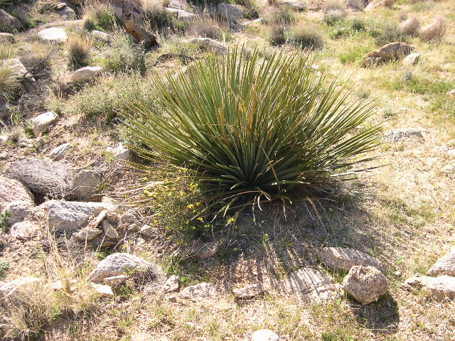 DSCN0032.JPG