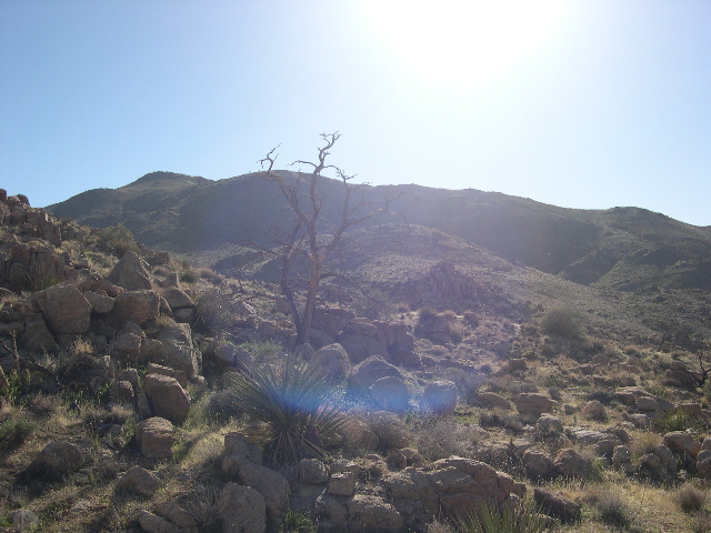 DSCN0033.JPG