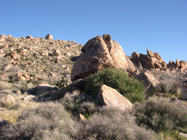 DSCN0044.JPG