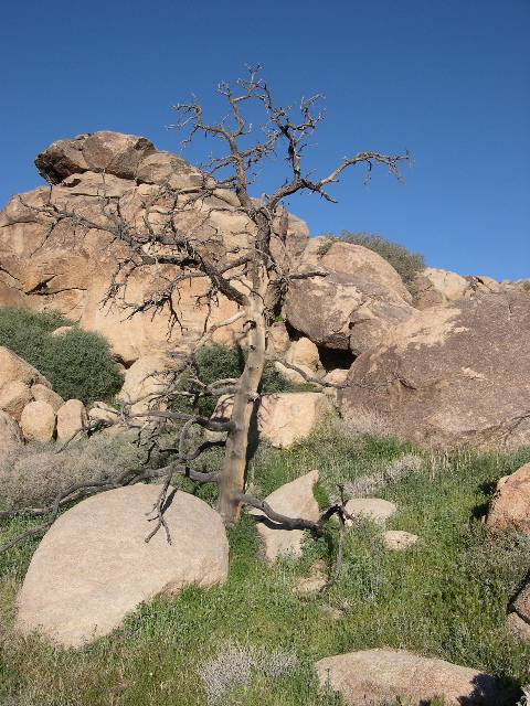 DSCN0045.JPG