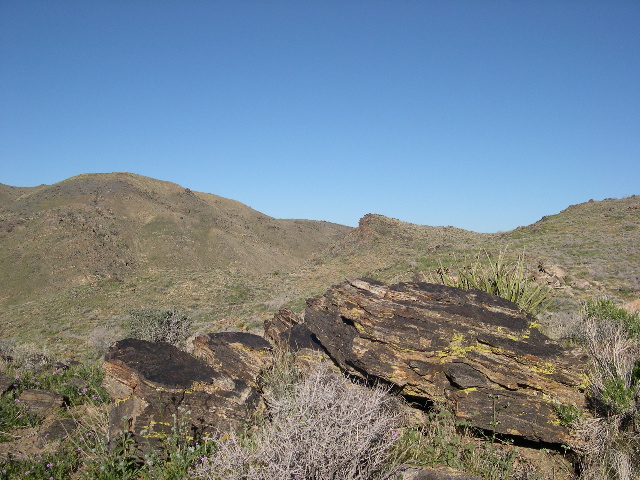 DSCN0049.JPG
