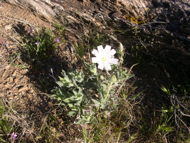 DSCN0050.JPG