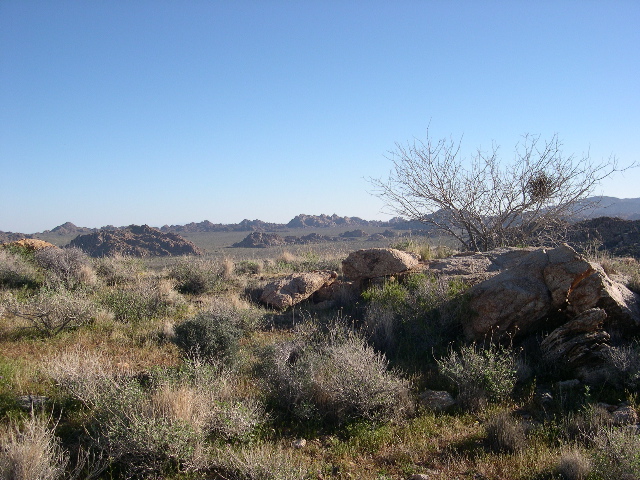 DSCN0051.JPG