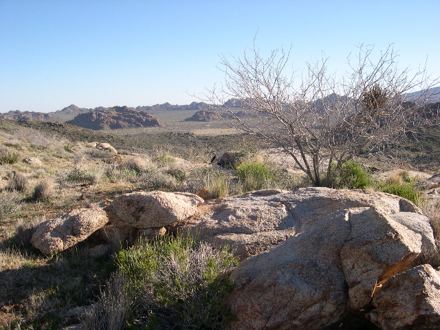 DSCN0052.JPG