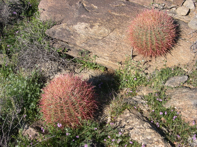 DSCN0058.JPG