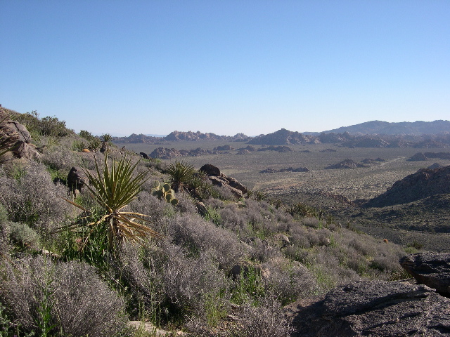 DSCN0061.JPG