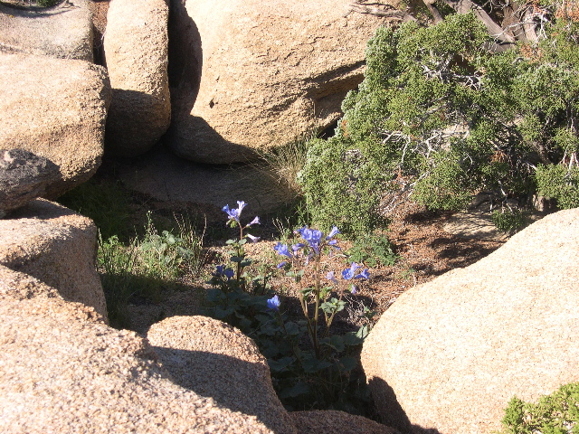 DSCN0064.JPG