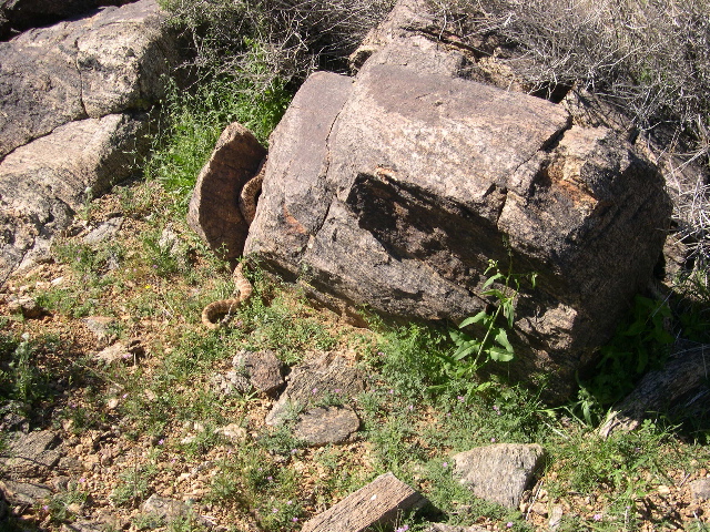 DSCN0073.JPG