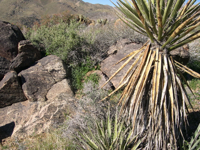 DSCN0074.JPG