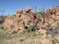 DSCN0011.JPG