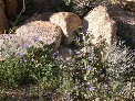 DSCN0023.JPG