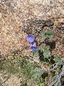 DSCN0027.JPG