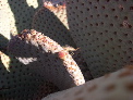 DSCN0036.JPG
