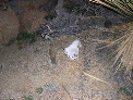 DSCN0038.JPG
