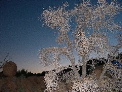 DSCN0039.JPG