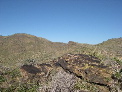 DSCN0049.JPG