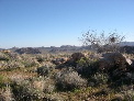 DSCN0051.JPG