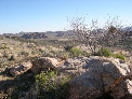 DSCN0052.JPG