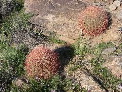 DSCN0058.JPG
