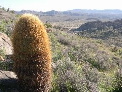 DSCN0059.JPG