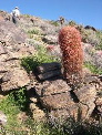 DSCN0063.JPG