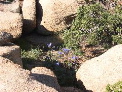 DSCN0064.JPG
