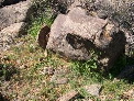 DSCN0073.JPG