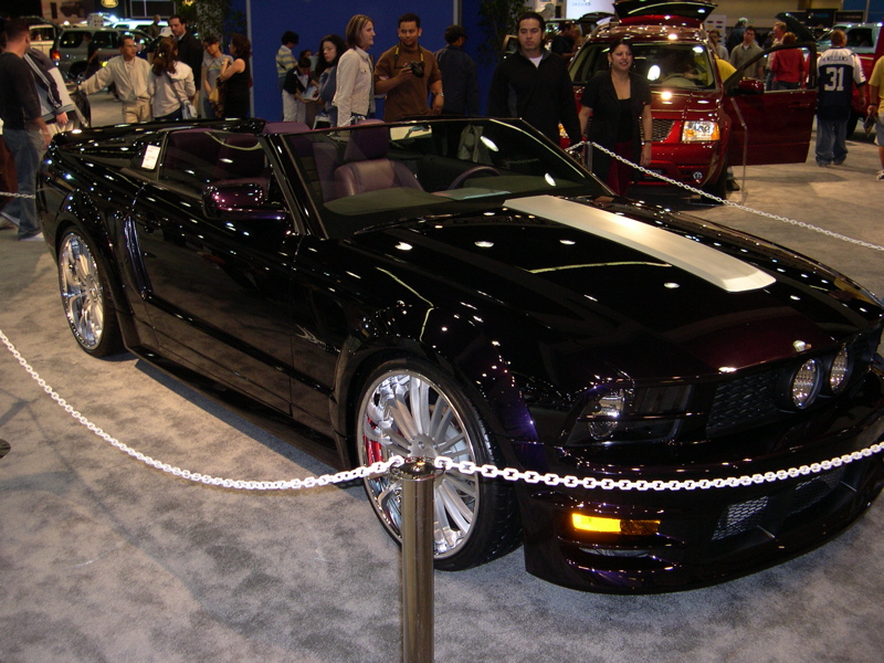 DSCN0099.JPG
