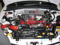 DSCN0058.JPG