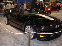 DSCN0099.JPG