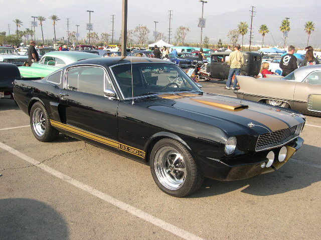DSCN0116.JPG